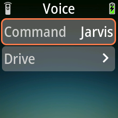 Voice program